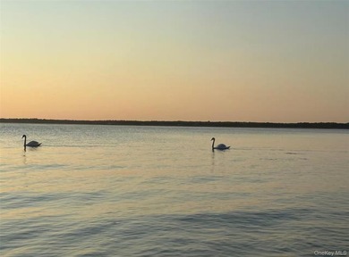 Welcome to The Swan House! Indulge in the serenity of being - photo 23