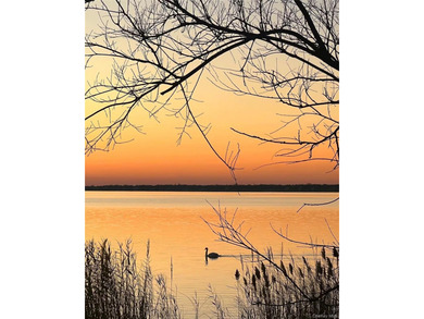 Welcome to The Swan House! Indulge in the serenity of being - photo 28