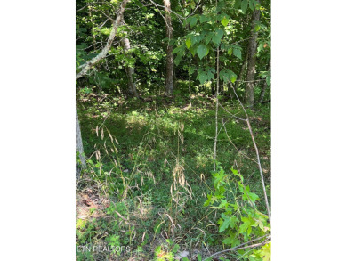 Lake Lot For Sale in New Tazewell, Tennessee