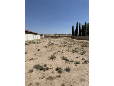 Silver Lakes Lot For Sale in Helendale California