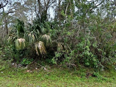 Just hitting the market, lot for sale at 5110 Sanibel Avenue - photo 1