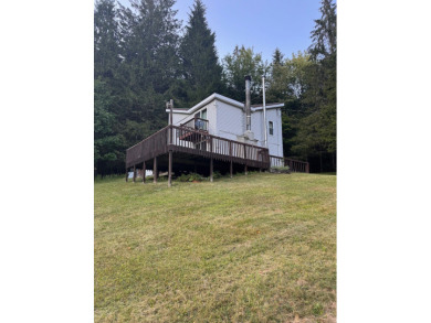 Lake Home For Sale in Delhi, New York