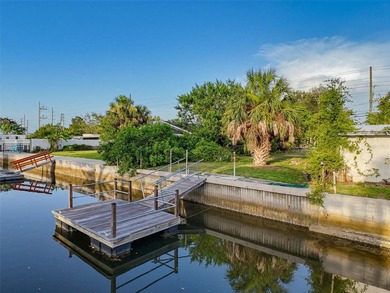 SELLER WILL ENTERTAIN ALL OFFERS. This WATERFRONT LOT is located - photo 14