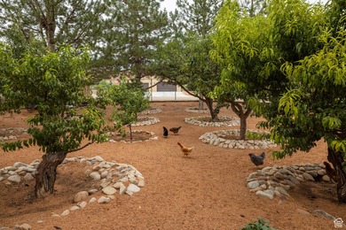 A truly rare opportunity to own one of Moab's most desirable - photo 27