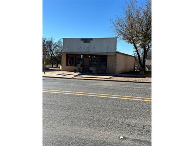 Woodson Lake Commercial For Sale in Woodson Texas