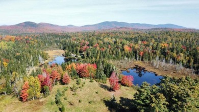 Lake Acreage For Sale in Rangeley, Maine