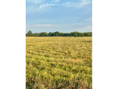 Lake Murray Acreage For Sale in Ardmore Oklahoma