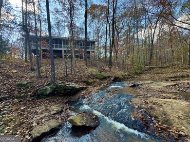 (private lake, pond, coastal) Home For Sale in Mcdonough Georgia