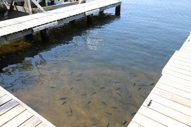 Experience exceptional Northwoods lakefront living with this - photo 24