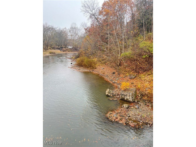 (private lake, pond, creek) Acreage For Sale in Kimbolton Ohio