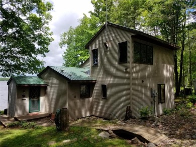 Lake Home For Sale in Eagle Twp, Minnesota