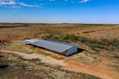 Lake Acreage For Sale in Colorado City, Texas