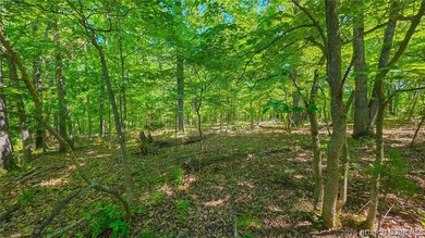 Rare Opportunity on the Signature 4th Hole in Porto Cima! Build - photo 11
