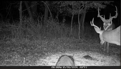 (private lake, pond, creek) Acreage For Sale in Laharpe Kansas