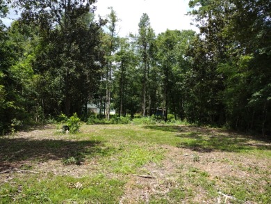 Private Lakes, Golf Cart Friendly Community,  Water View, Reduced - photo 2