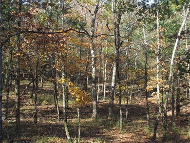 Looking for privacy, a lovely well maintained home & 1 +acre of - photo 37