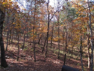 Looking for privacy, a lovely well maintained home & 1 +acre of - photo 38