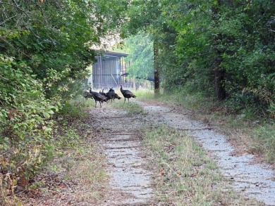 Lake Leon Acreage For Sale in Eastland Texas