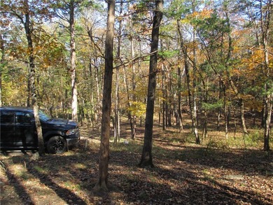 Looking for privacy, a lovely well maintained home & 1 +acre of - photo 43