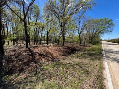 Seize this fantastic investment & development opportunity! - photo 3