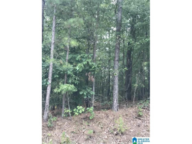 Logan Martin Lake Lot For Sale in Alpine Alabama