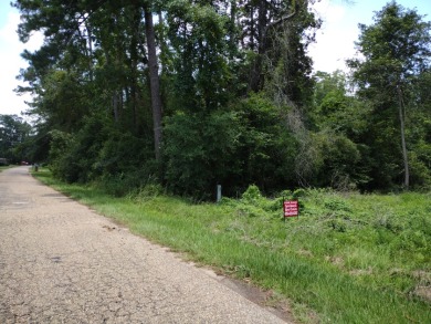 Private Lakes, Golf Cart Friendly Community,  Water View, Reduced - photo 4