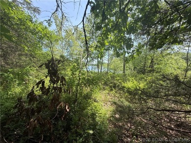 2.84 acres of gentle/flat, very buildable, lakefront land on the - photo 12