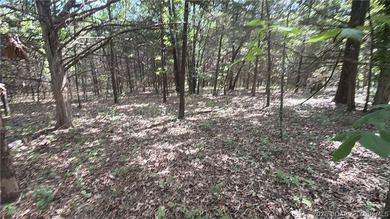 2.84 acres of gentle/flat, very buildable, lakefront land on the - photo 13
