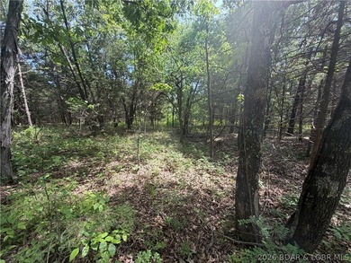 2.84 acres of gentle/flat, very buildable, lakefront land on the - photo 15