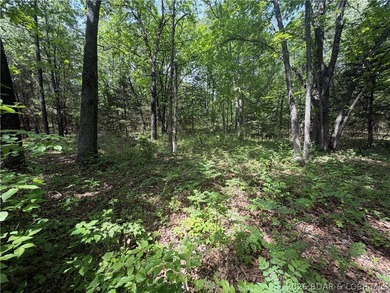 2.84 acres of gentle/flat, very buildable, lakefront land on the - photo 16