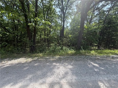 2.84 acres of gentle/flat, very buildable, lakefront land on the - photo 17