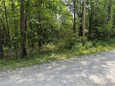 2.84 acres of gentle/flat, very buildable, lakefront land on the - photo 18