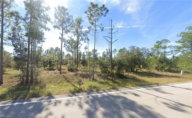 Lehigh Acres Area Lot For Sale in Lehigh Acres Florida