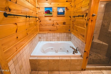 MOUNTAIN LAKE RETREAT with STUNNING VIEWS and LAKE ACCESS AND - photo 42