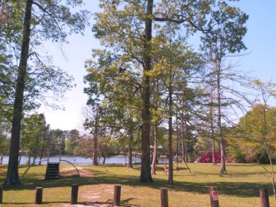 Private Lakes, Golf Cart Friendly Community,  Water View, Reduced - photo 8
