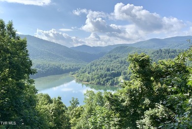 MOUNTAIN LAKE RETREAT with STUNNING VIEWS and LAKE ACCESS AND - photo 49