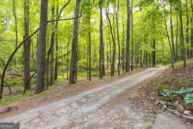 This home offers a rare opportunity to own a custom-built - photo 35