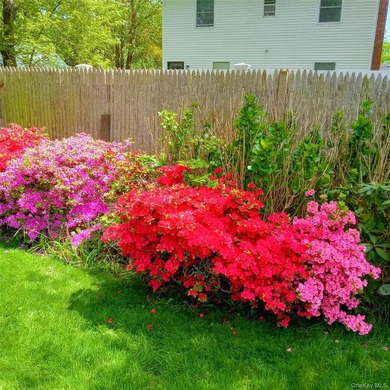 Come see this charming single-family home nestled in the heart - photo 9