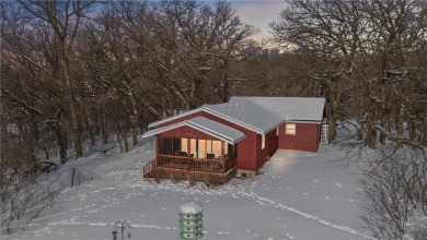 Lake Home For Sale in Clitherall Twp, Minnesota