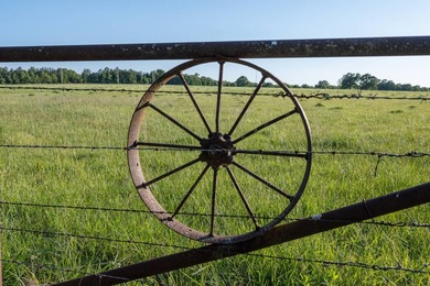 Truly a once in a lifetime opportunity, this well-managed ranch - photo 2