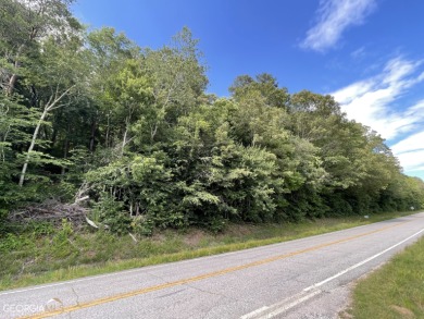 10 acres of gently sloping land in an excellent location close - Lake Acreage For Sale in Clarkesville, Georgia