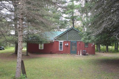 Scotts Lake Home For Sale in East Jordan Michigan