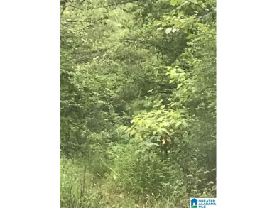 Logan Martin Lake Lot For Sale in Alpine Alabama