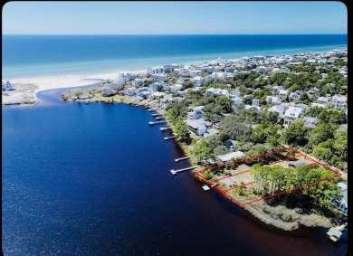 Lake Lot Sale Pending in Santa Rosa Beach, Florida