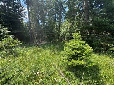 Tucked into a peaceful pocket near Swan Lake, this .67-acre lot - photo 7