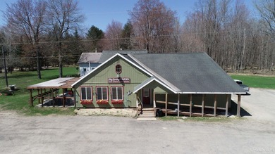 Indian Lake - Schoolcraft County Commercial Active Under Contract in Manistique Michigan
