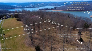 Welcome to Deerfield Resort--one of Norris Lake's most - photo 17