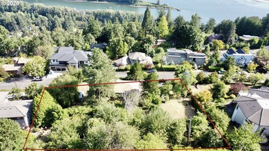 Live on top of the world in Camas, Washington. This rare, nearly - photo 17