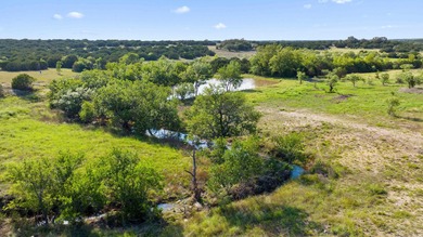 (private lake, pond, creek) Acreage For Sale in Burnet Texas