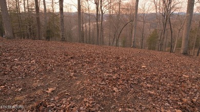 Welcome to Deerfield Resort--one of Norris Lake's most - photo 31
